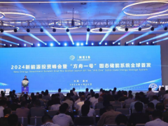 2024新能源投资峰会暨“方舟一号”固态储能系统全球首发会在温州成功举办